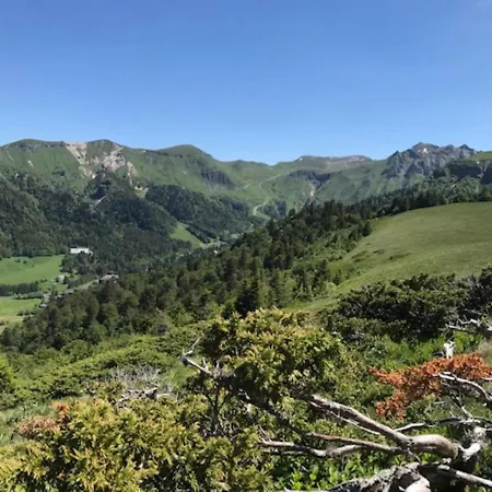 Mont-dore : Centre T3 Avec Wifi - Fr-1-608-28