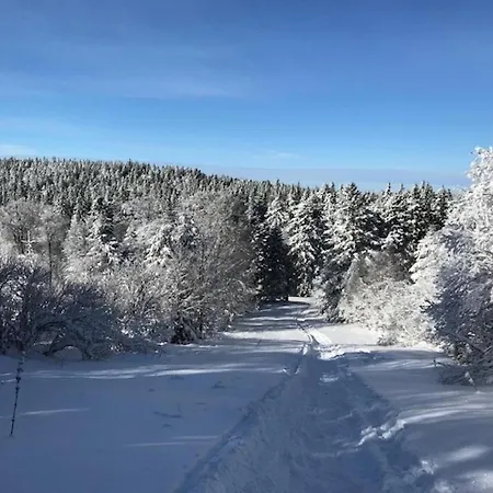 Mont-dore : Centre T3 Avec Wifi - Fr-1-608-28 Apartament