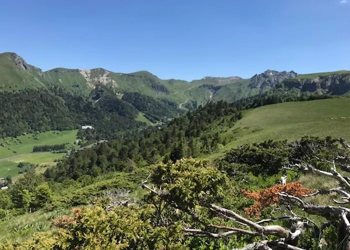 Mont-dore : Centre T3 Avec Wifi - Fr-1-608-28