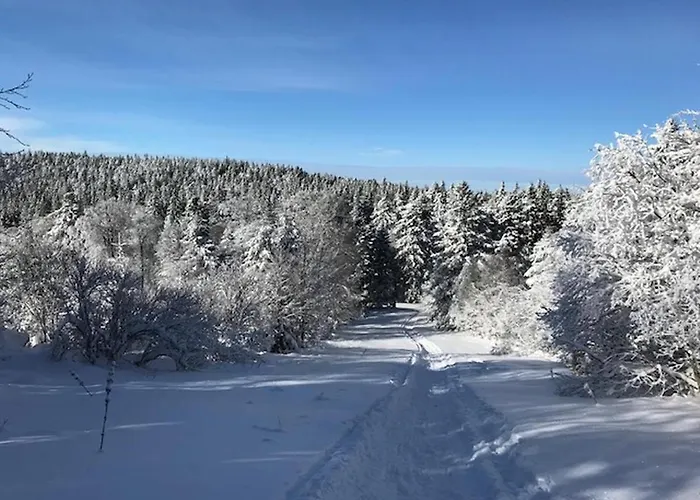 Mont-dore : Centre T3 Avec Wifi - Fr-1-608-28 Apartment